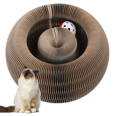 The Magic of Play: How a Organ Cat Toy Can Strengthen the Bond with Your Cat